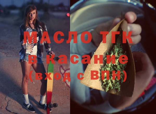 мет Алексин