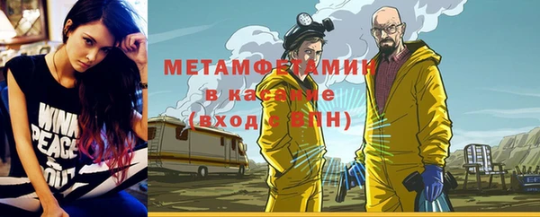 мет Алексин