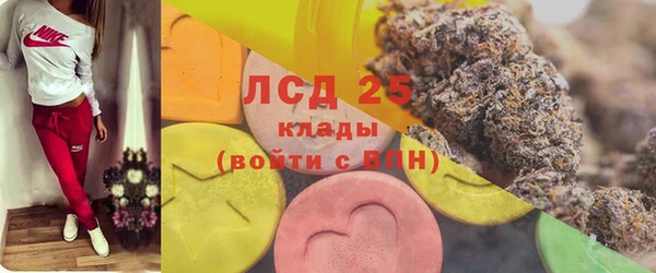 мет Алексин